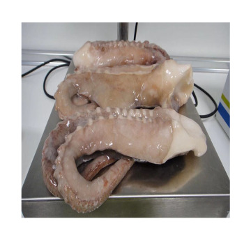 glazed squid tentacles detail,great taste squid tentacle,health seafood squid tentacle