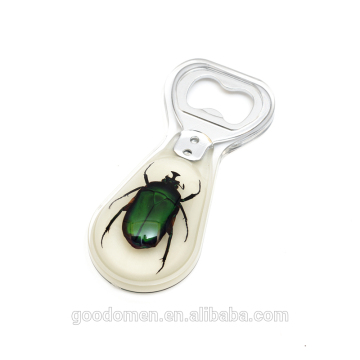 creative design acrylic insect shape bottle opener for beer