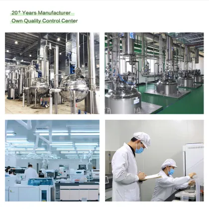 Immunity Boosting Mango Extract