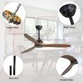 Fan del soffitto elegante design Bella finitura nera