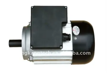 YY 110V AC Motor