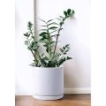 Ceramic Flower Pots Indoor Cylinder Round Planter Pot Supplier