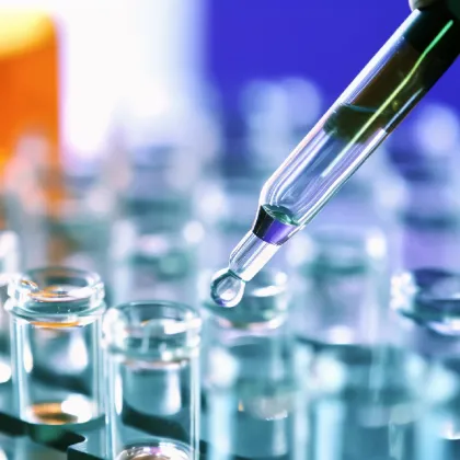 Bulk Erythritol Zero-Calorie Natural Sweetener