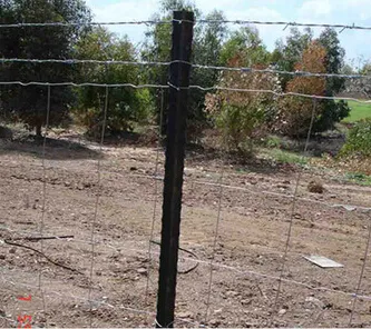 Fence Posts/Star Pickets/Y Type Star Fence Post