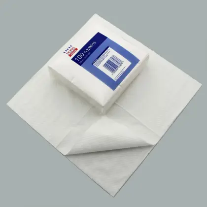 Printed Caspari Napkin Paper