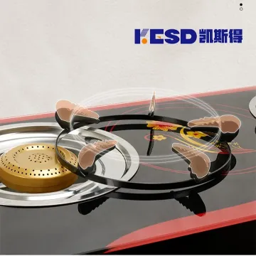 Design Reasonable Price Induct Gas Cooker 2 Burner Gas Cooker with Oven