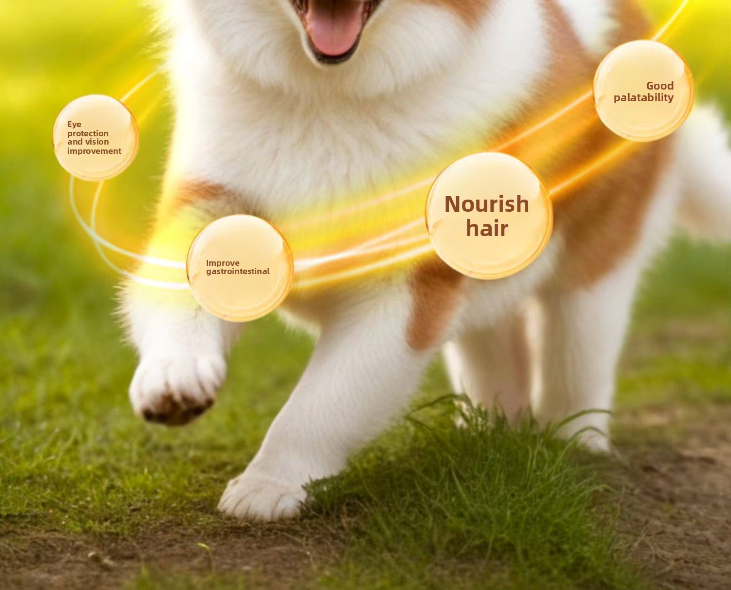 H8b8f0bf03f6b4a128d2e02e8cb87d0180