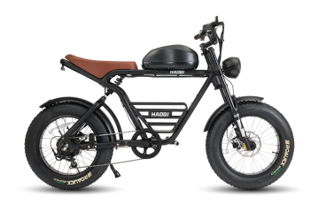 HAOQI Rhino 2.0 Electric Motorbike
