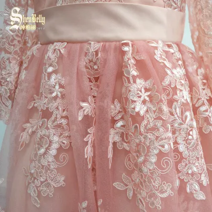 Pink lace mesh long sleeve baby frock style baby dress girls children dress
