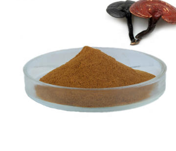 Ganoderma Lucidum reishi mushroom Extract powder