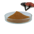 supply Freeze dried Aloe vera extract powder