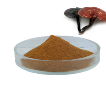 Ganoderma Lucidum reishi mushroom Extract powder