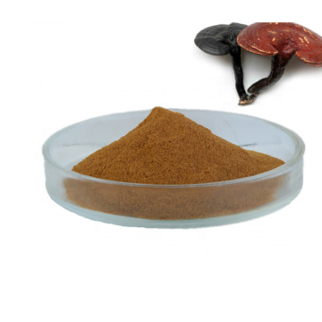 Ganoderma Lucidum reishi mushroom Extract powder