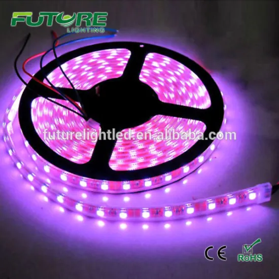 10W/meter WS2812B addressable magic color rgb led strip for christmas lighting