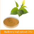 Εκχύλισμα φύλλων Mulberry DNJ