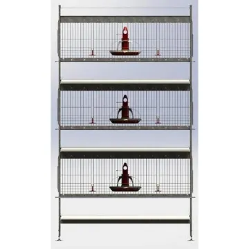 H-Type 3 Tiers Poultry Farm Broiler Cage Equipment for 50,000 Chickens