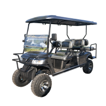 vendita di fabbrica usata yamaha golf cart folr