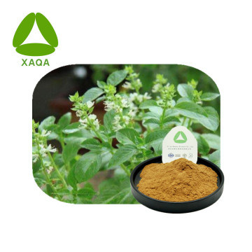 Thyme Extract Powder 10:1
