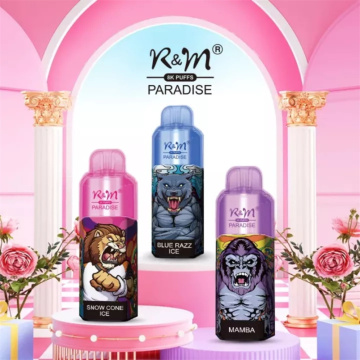 Hot Sell Disposable Vape R&M Paradise 8000 Puff