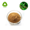 Seed Dodder Cuscuta Chinensis Semen Cuscutae Extract Powder