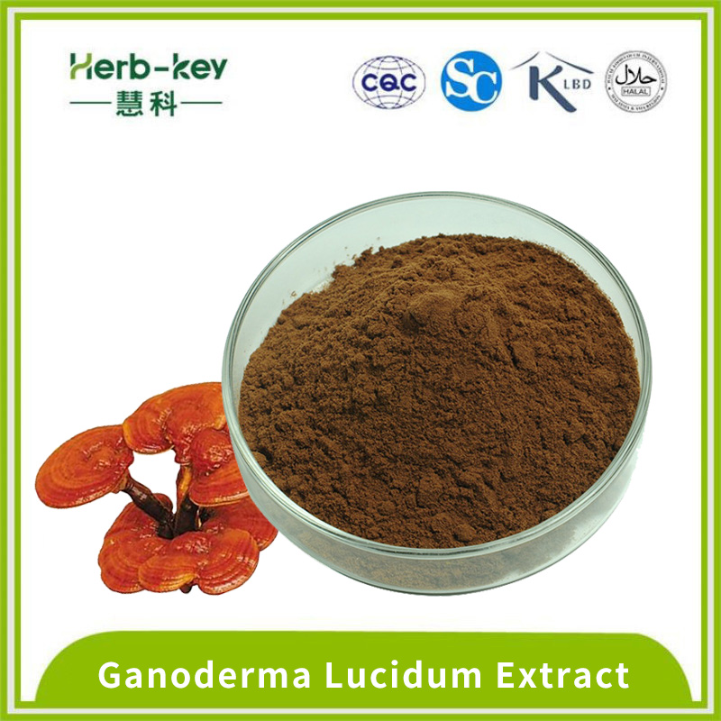 Détoxifier l'extrait de ganoderma lucidum à 10%