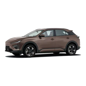 Neta X e U Pro: 2024-2025 auto elettriche con intervallo di 501 km