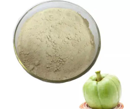 Wholesale garcinia cambogia extract powder