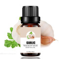 Large stock 100% natural garlic essential oil wholesale