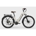 Individuelles Elektrofahrrad für Pendler