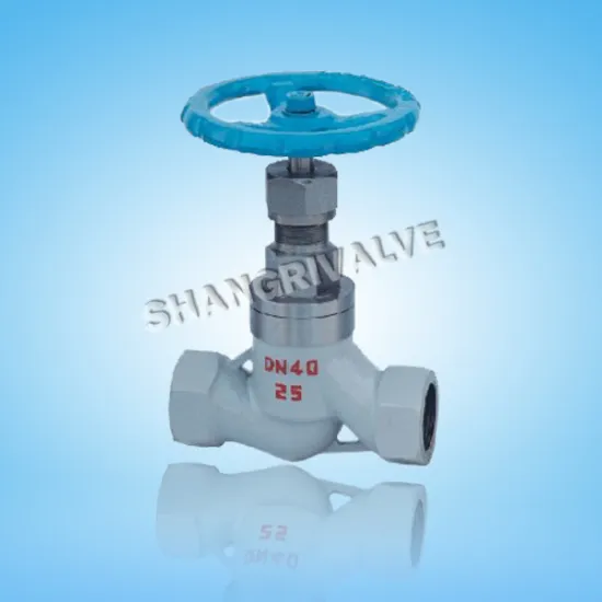 Female Threaded Globe Valve (J11H)