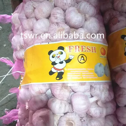 2020 New Season China Fresh Garlic
