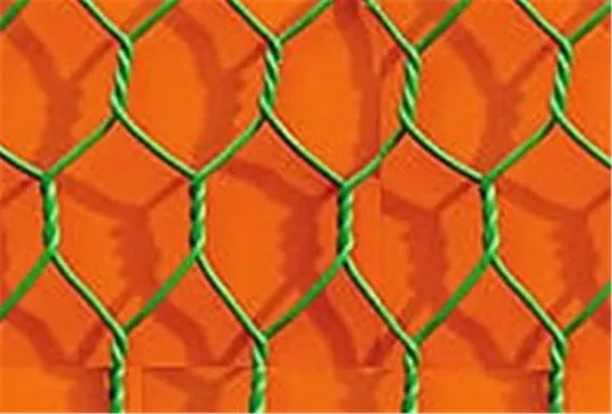 Hexgonal wire mesh