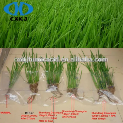 Amino Acid Powder With 40% Free Amino Acid