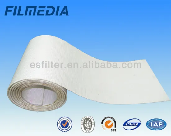 Polyester air slide fabric