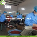 Factory Supply Nutrition Dried Lycium Chinensis