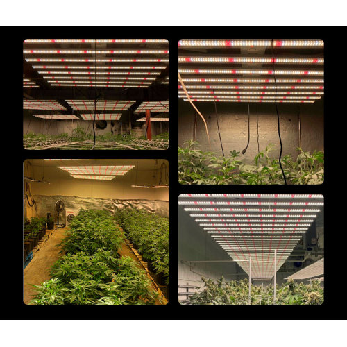 Tunable Full Spectrum Led 600W Grow Light