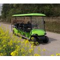 competitive price of gas powered golf car