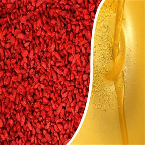 Olio di semi di Goji bio di alta qualità Ningxia