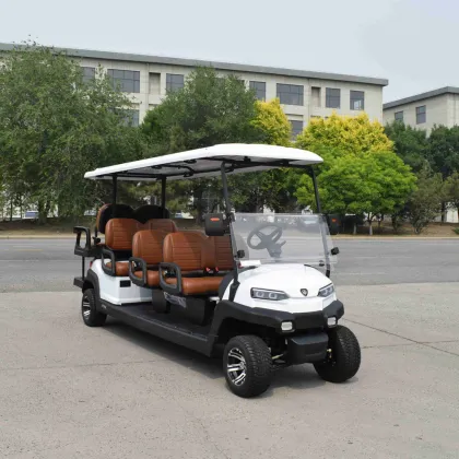 8-seater pure electric golf cart