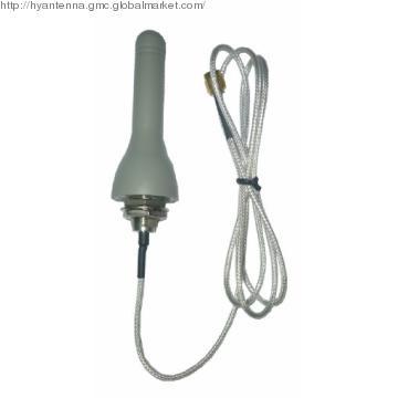 2dBi 3G Antenna With SMA Male Connector
