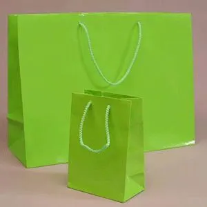 CUSTOM PRINTING AND PACKAGING PAPER CARRY BAG