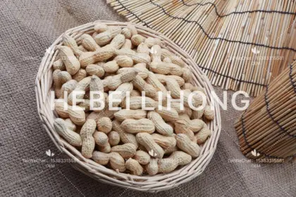 Natural Organic Peanut Kernels