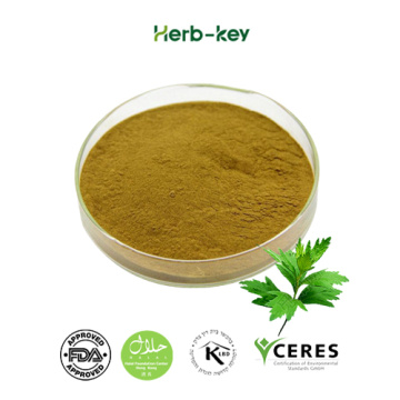 Food Grade Wormwood Powder Argy Wormwood Leaf Extract
