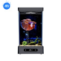 Tangki ikan mini yang elegan untuk dekorasi dalam ruangan