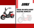 Scooter elettrico con motocicletta a batteria al litio rimovibile