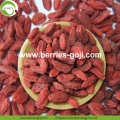 โรงงานขายส่งสินค้าราคาพิเศษมาตรฐานอียู Goji Berry