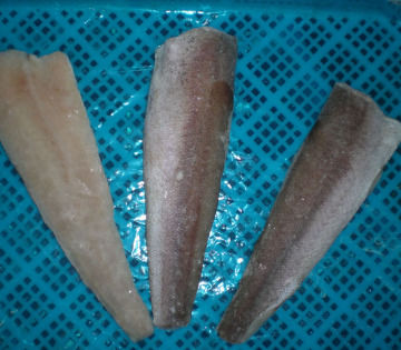 Fresh fish fillet hake fillet