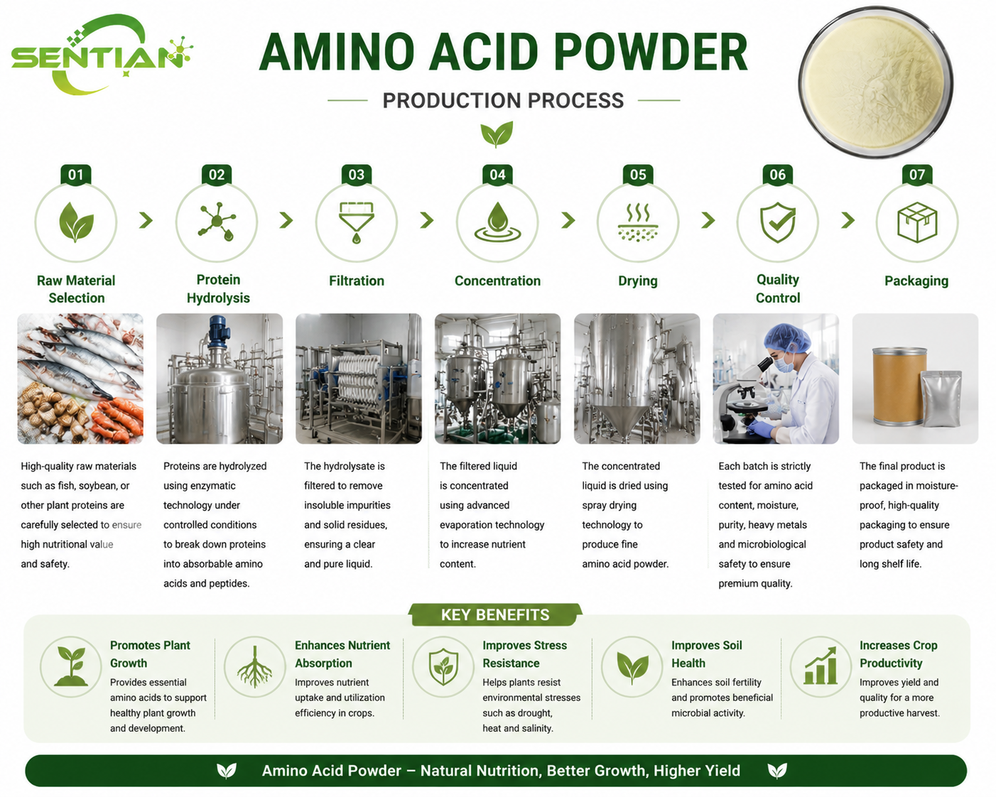 Amino Acid Powder（1）