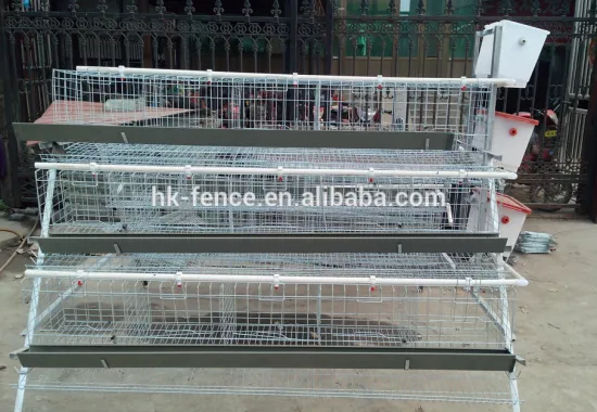 A type hot-dipped galvanized poultry battery layer chicken cage
