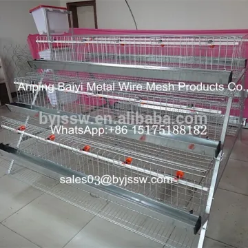 Layer Chicken battery Cage , Egg Layers Cage Design , Chicken Laying Cage
